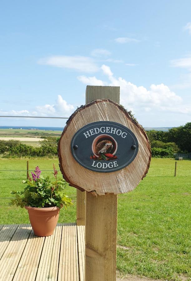 Lilly'S Lodges Orkney Hedgehog Lodge Finstown Exterior foto