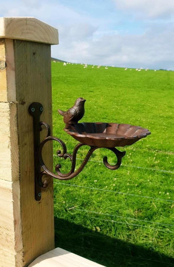 Lilly'S Lodges Orkney Hedgehog Lodge Finstown Exterior foto